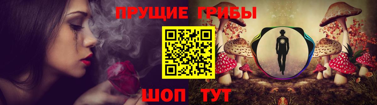 Галлюциногенные грибы Cubensis Зерноград